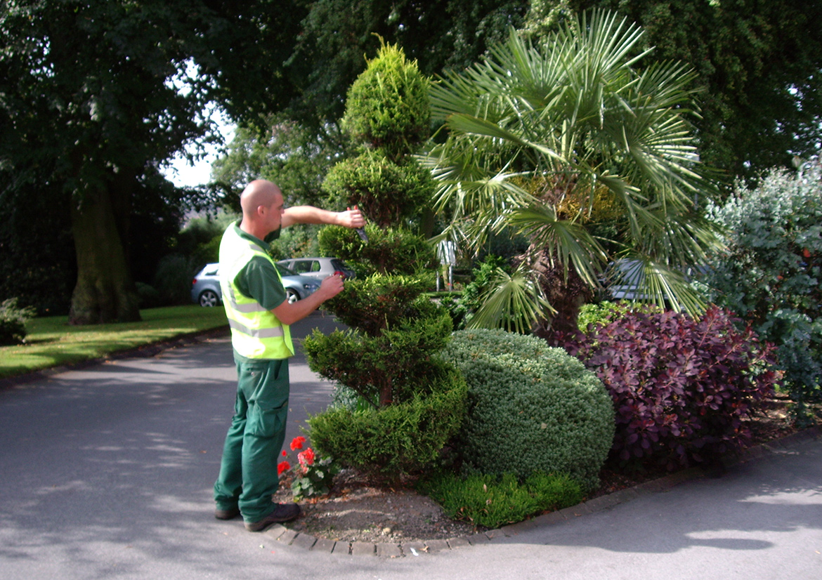 Commercial Grounds Management East Yorkshire
